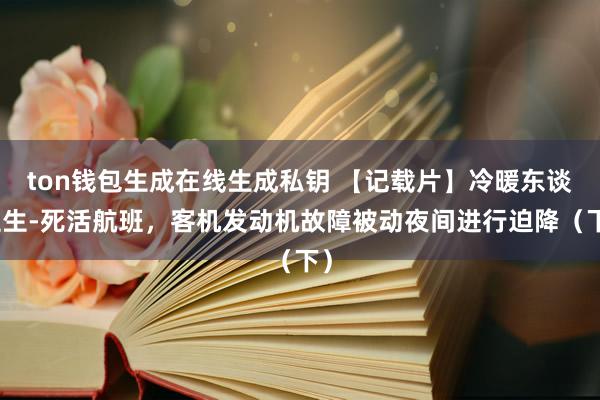 ton钱包生成在线生成私钥 【记载片】冷暖东谈主生-死活航班，客机发动机故障被动夜间进行迫降（下）